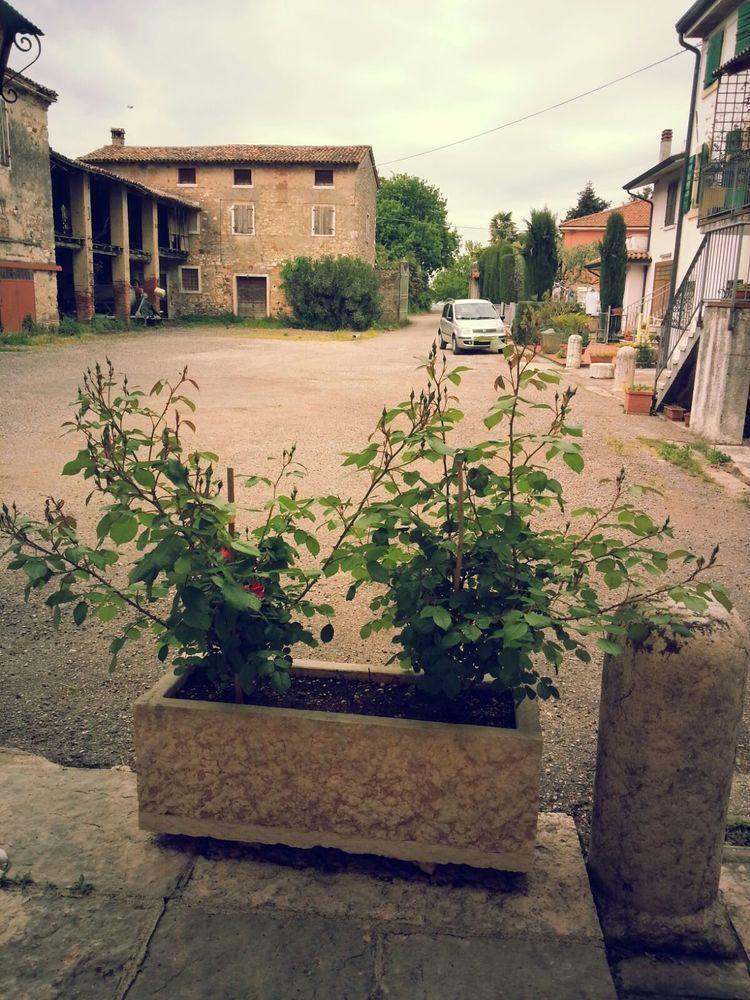Albergo Mio Лацизе Экстерьер фото